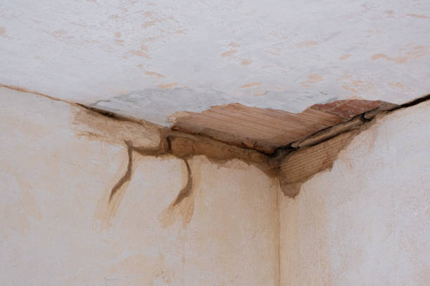 Best Water damage restoration cost  in USA